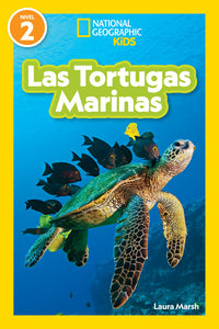 Las tortugas marinas